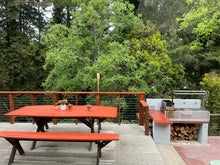 Load image into Gallery viewer, Tagwood BBQ Santa Maria Argentine Wood Fire &amp; Charcoal Grill Built in | BBQ05SS--
