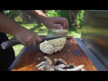 Load and play video in Gallery viewer, Tagwood BBQ XL Built-In Argentine Wood Fire &amp; Charcoal Grill OPEN FIRE COOKING | BBQ25SS -
