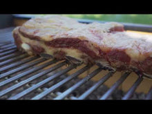 Load and play video in Gallery viewer, Tagwood BBQ Argentine Santa Maria Wood Fire &amp; Charcoal Grill | BBQ03SI--
